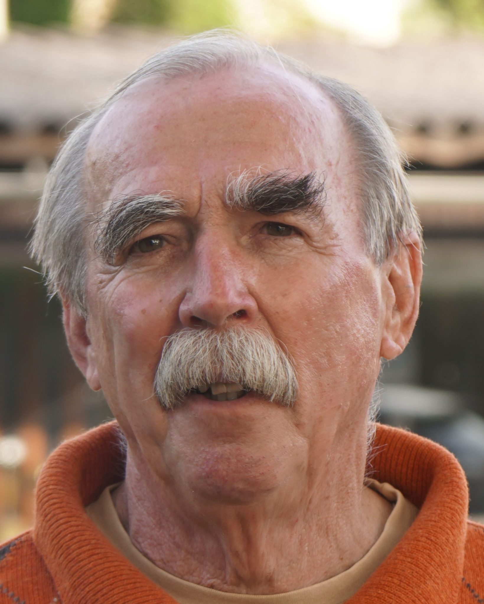 Albert Lichtenegger